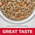 Hill's Science Diet Healthy Cuisine Adult Poached Salmon & Spinach Medley Canned Cat Food