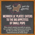Merrick Lil' Plates Grain Free Pint Sized Pup Small Breed Wet Puppy Food