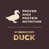 Wellness CORE RawRev Natural Grain Free Wild Game Duck, Lamb, Wild Boar & Rabbit with Freeze Dried Lamb Dry Dog Food