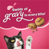 Friskies Gravy Swirlers Chicken and Salmon Dry Cat Food