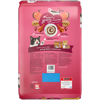 Friskies Gravy Swirlers Chicken and Salmon Dry Cat Food