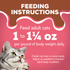 Friskies Extra Gravy Chunky with Salmon in Savory Gravy Canned Cat Food