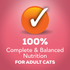Friskies Extra Gravy Chunky Salmon Wet Cat Food