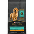 ProPlan Shredded Blend Chicken and Rice Dry Puppy Food