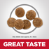 Hill's Science Diet Adult No Corn, Wheat, or Soy Chicken & Brown Rice Recipe Dry Cat Food