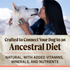 Merrick Backcountry Healthy Grains Pacific Catch Adult Dry Dog Food