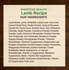 Wellness Core Digestive Health Grain Free Lamb Recipe Canned Dog Food
