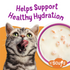 Friskies Lil' Soups Grain Free Shrimp in Chicken Broth Wet Cat Food
