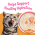 Friskies Lil' Soups Grain Free Sockeye Salmon in Chicken Broth Wet Cat Food