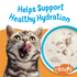 Purina Friskies Lil' Soups Grain Free Tuna in Chicken Broth Wet Cat Food