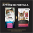 ProPlan Sensitive Skin & Stomach Lamb and Rice Dry Cat Food