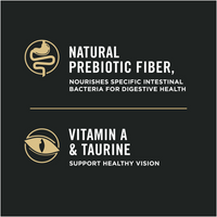 ProPlan Sensitive Skin & Stomach Lamb and Rice Dry Cat Food
