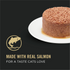 Purina Pro Plan Complete Essentials Pate Salmon and Brown Rice Wet Cat Food