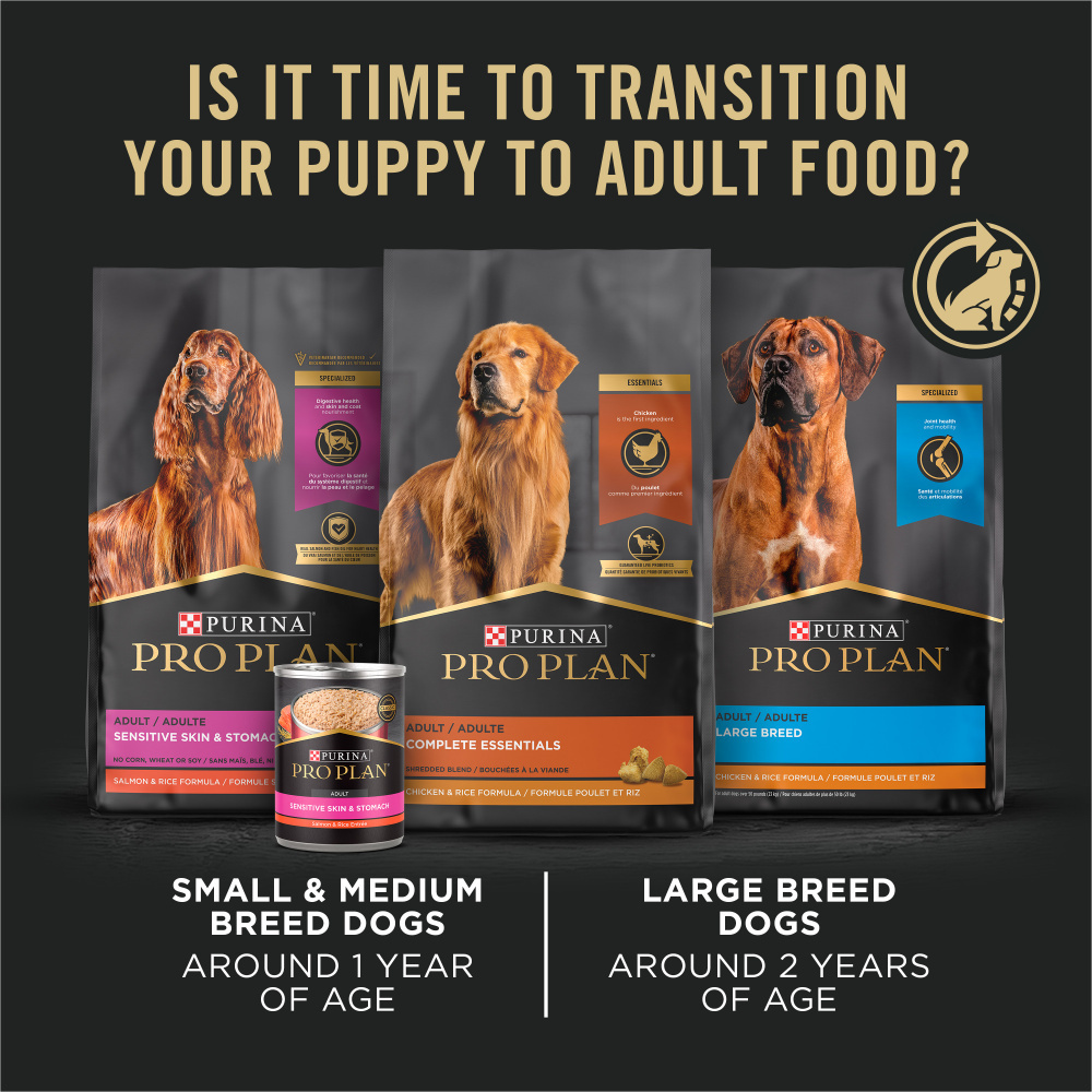 Purina Pro Plan Development Sensitive Skin Stomach Salmon Rice With Probiotics Large Breed Dry Puppy Food
