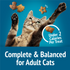 Purina Friskies Party Mix Beachside Crunch Cat Treats