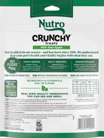 Nutro Crunchy Treats with Real Apple Dog Treats
