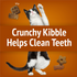 Purina Friskies Party Mix Chicken Lovers Crunch Cat Treats Canister