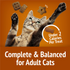 Purina Friskies Party Mix Chicken Lovers Crunch Cat Treats Canister