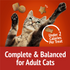 Purina Friskies Party Mix Crunch Gravylicious Chicken & Gravy Cat Treats
