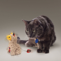 Kong Softies Buzzy Llama Cat Toy