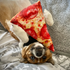 Doggijuana Get the Munchies Pizza