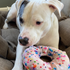 Doggijuana Get the Munchies Donut