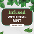 Merrick Fresh Kisses Mint Dental Dog Chews Small
