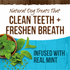 Merrick Fresh Kisses Mint Dental Dog Chews Medium
