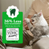 Feline Greenies Adult Dental Catnip Flavor Cat Treats