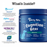 Zesty Paws Senior Advanced Cognition Bites, Chicken Flavor Dog Supplements