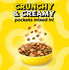 Temptations Tasty Chicken Dry Cat Food