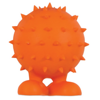 JW Pet Spiky Cuz Dog Toy