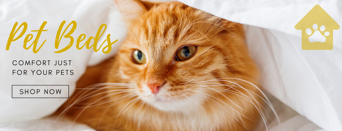 Animal crackers feed store best sale