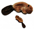 Kong Plush Beaver Dog Toy