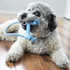Kong Puppy Goodie Bone Dog Toy