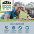 Acana Wholesome Grains Sea to Stream Fish & Grains Dry Dog Food Herring, Mackerel & Catfish