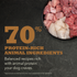 Acana Highest Protein Appalachian Ranch Recipe Dry Dog Food