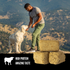ORIJEN Freeze Dried Ranch Raised Beef Dog Treats