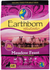 Earthborn Holistic Meadow Feast Lamb Meal & Vegetables Grain Free Dry Dog Food