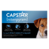 Capstar Flea Tablets for Small Dogs 5-25 lbs