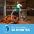 Capstar Flea Tablets for Small Dogs 5-25 lbs