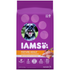 Iams Proactive Healthly Aging Adult Dry Dog Food