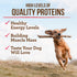 Merrick Premium Grain Free Dry Adult Dog Food Wholesome And Natural Kibble With Real Salmon And Sweet Potato