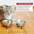 Wellness CORE Tiny Tasters Chicken & Beef Pate Wet Cat Food