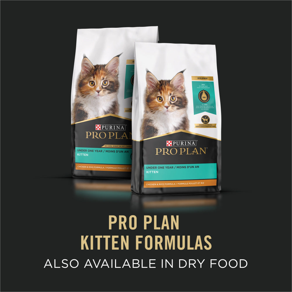 Purina Pro Plan Grain-Free Pate Salmon & Tuna Entree Pull-Top Can Wet Kitten Food